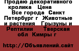 Продаю декоративного кролика › Цена ­ 500 - Все города, Санкт-Петербург г. Животные и растения » Грызуны и Рептилии   . Тверская обл.,Кимры г.